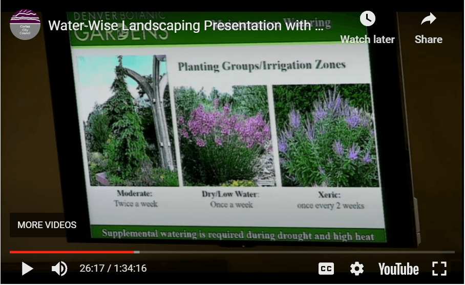2019 annie barrow water wise landscaping