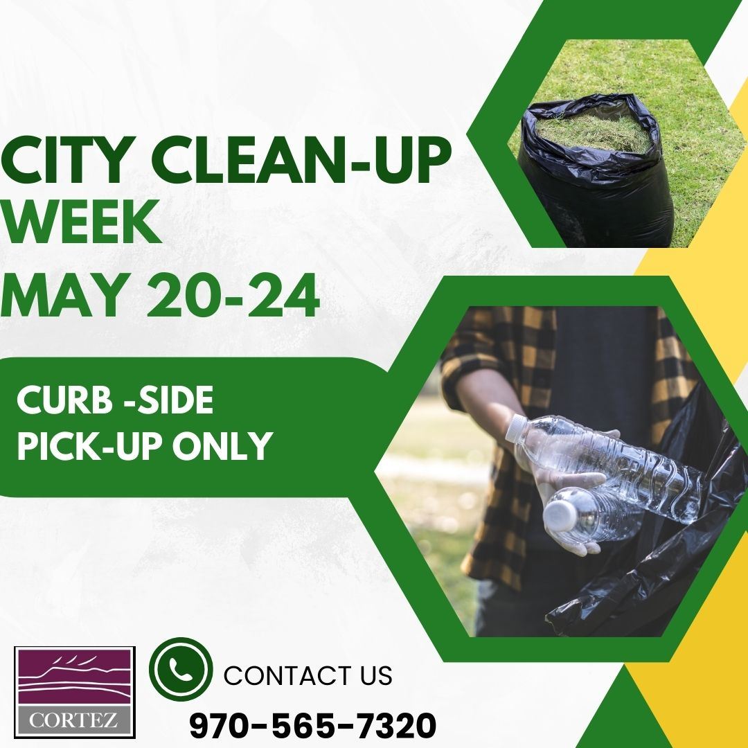 City Clean up May 2024