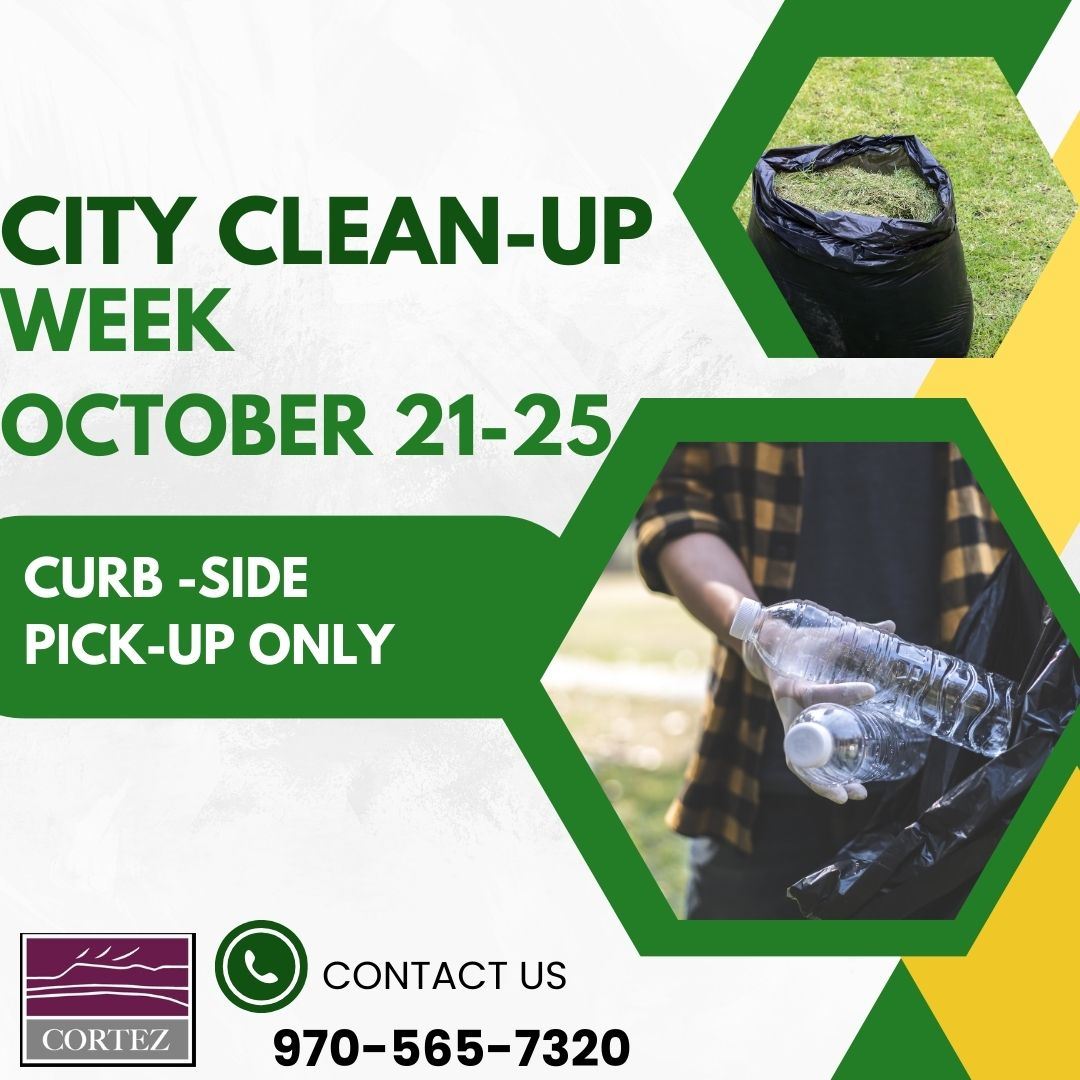 City Clean up Oct 2024