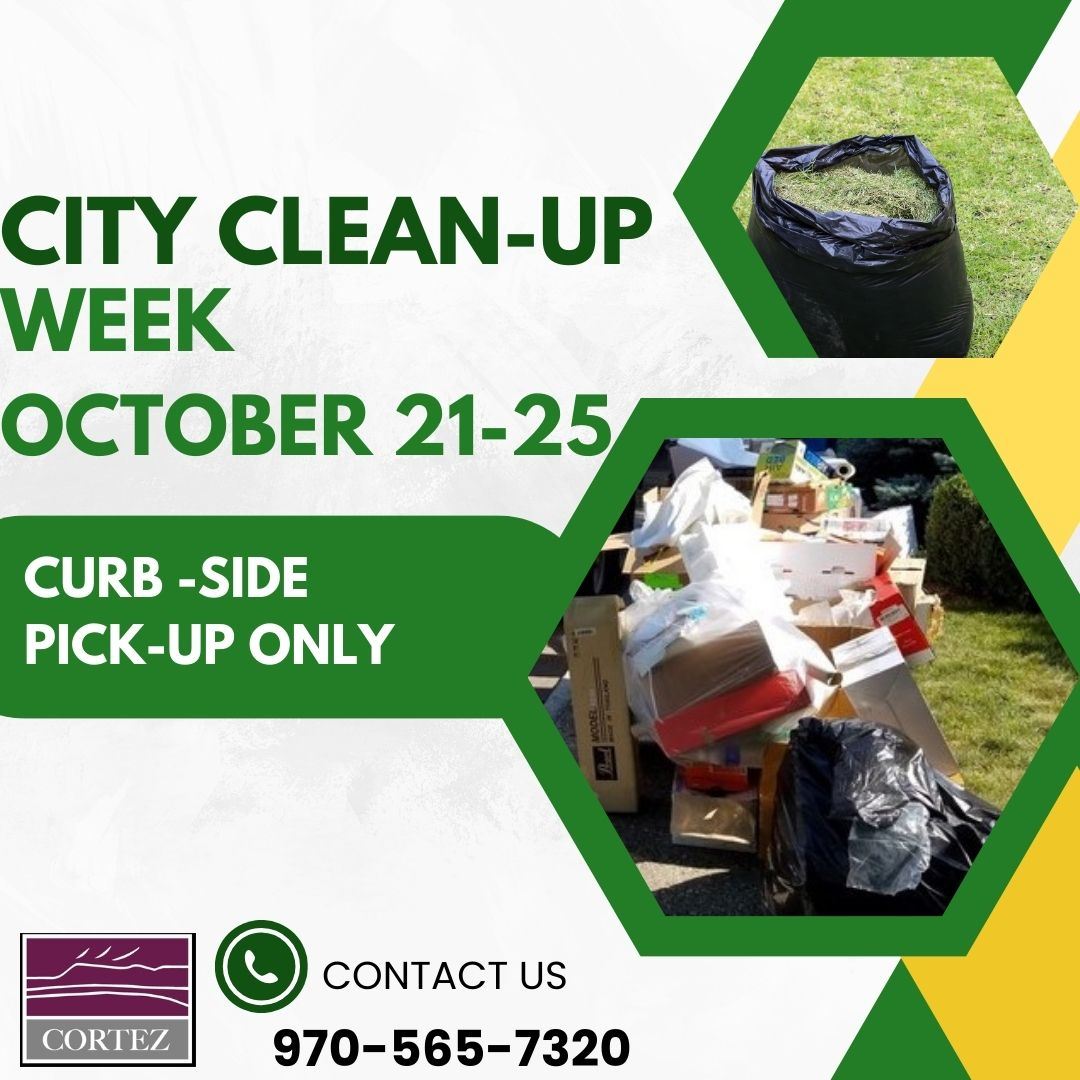 City Clean Up October 2024