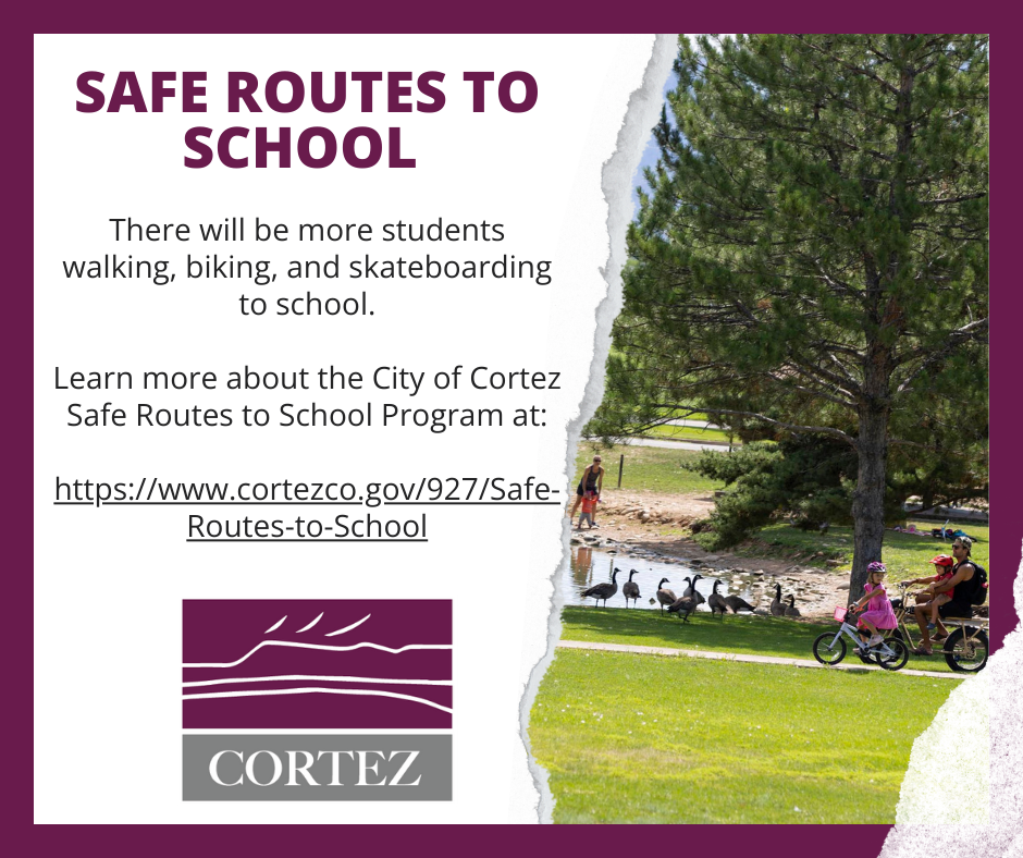 School Driving Public Service Announcement 