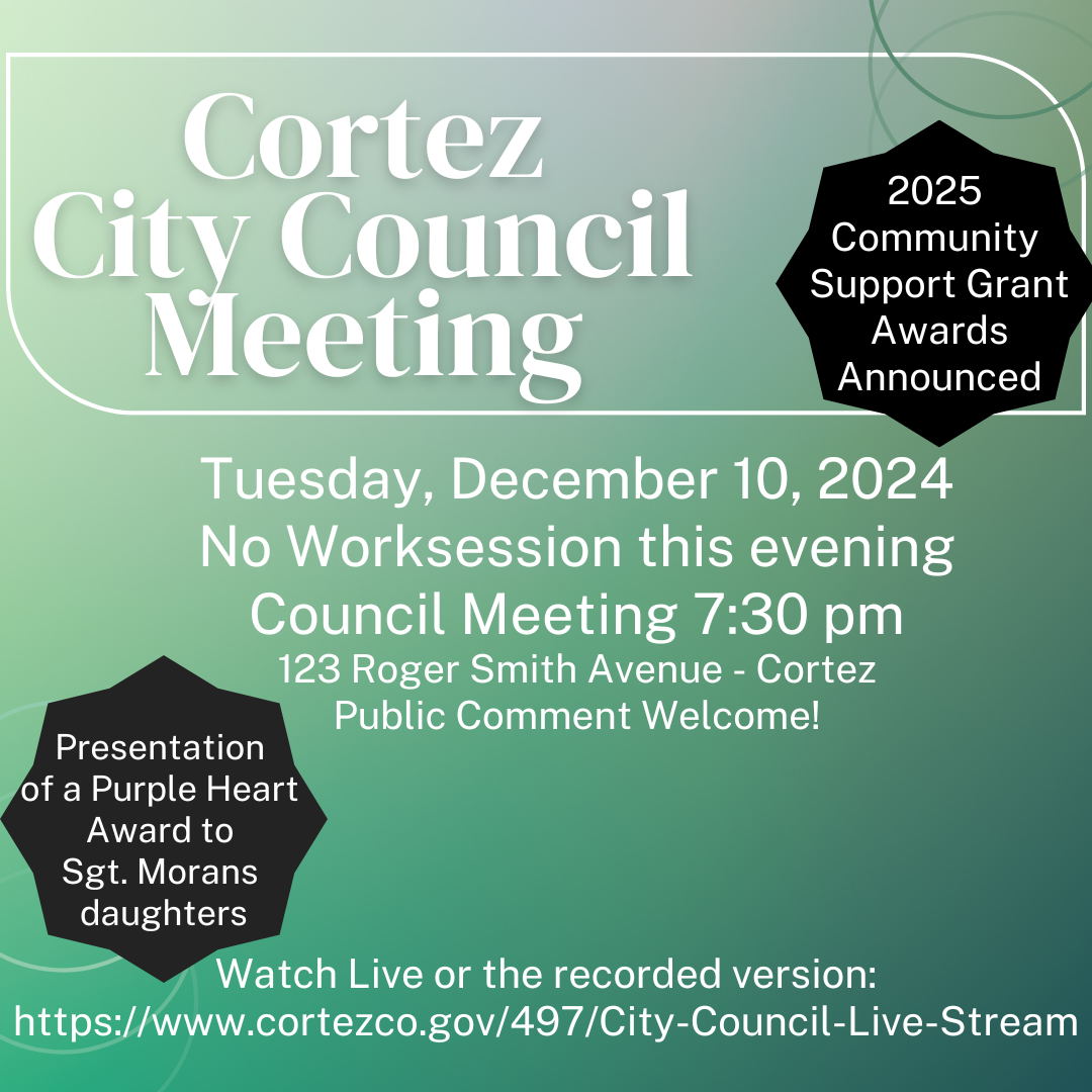 City Council 12.10 (1)