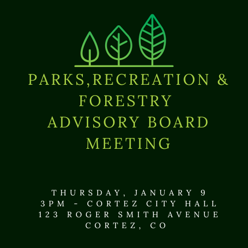 Parks and Recreation Rec City (1)