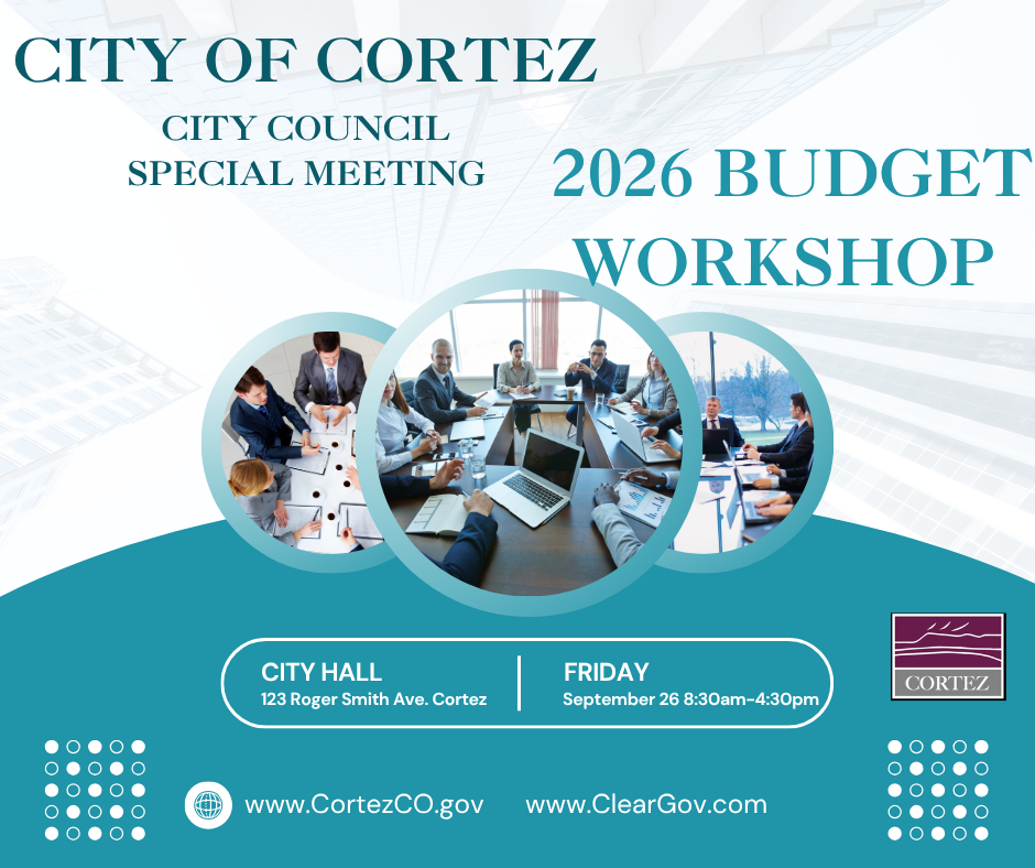 Blue background with text information about the Budget workshop and circles with groups of people 