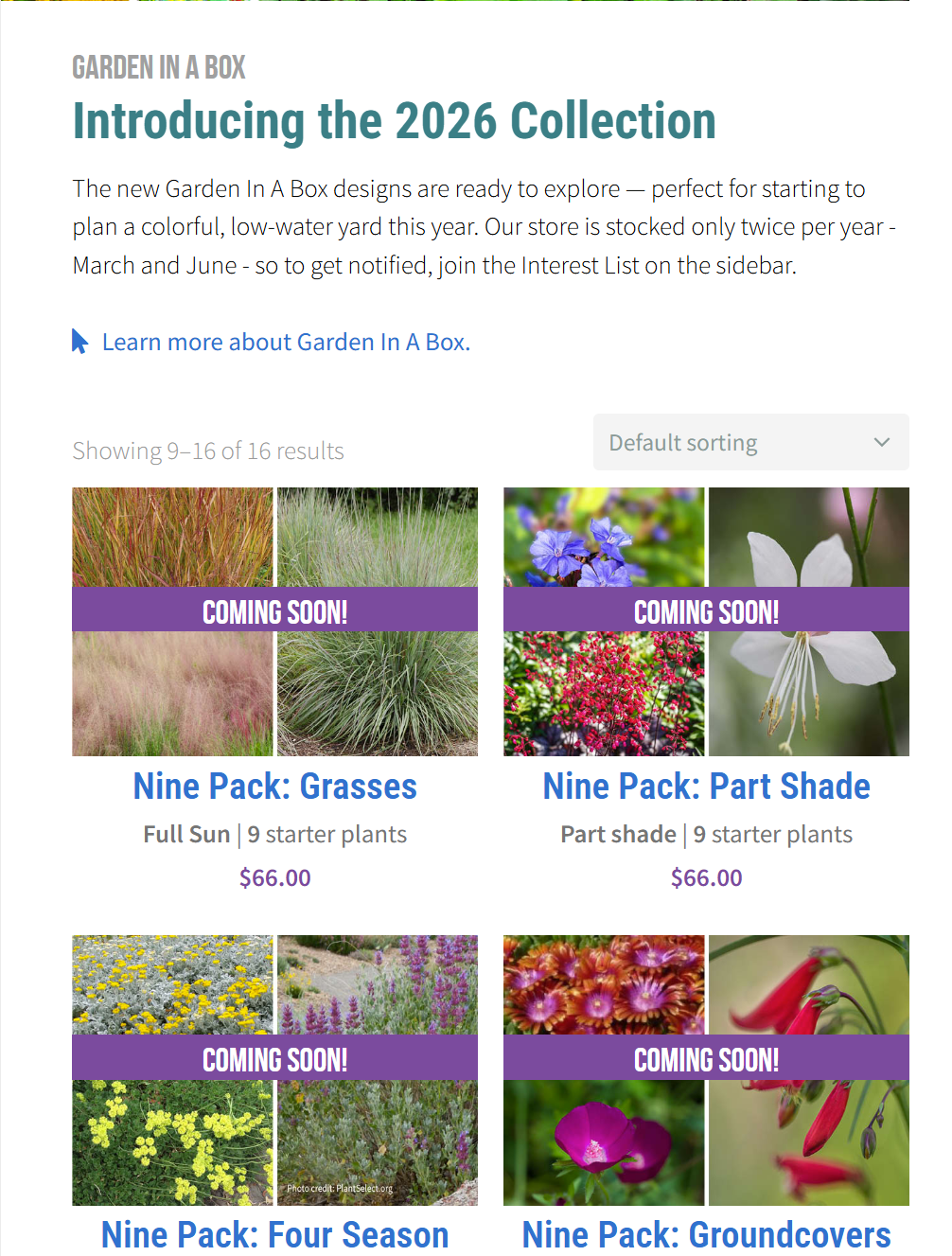2026 Garden In a Box photos of available sample boxes of grasses and flowers